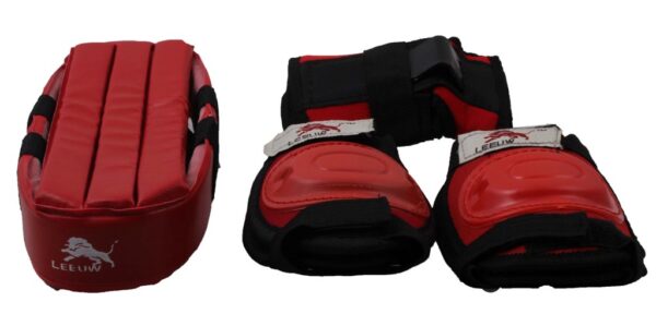 LLEUW PROTECTIVE SET (4 in 1)