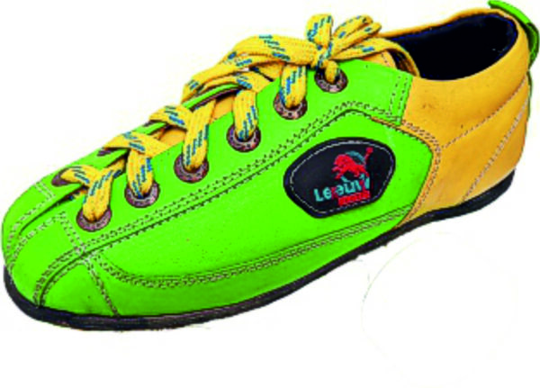 Skate shoe